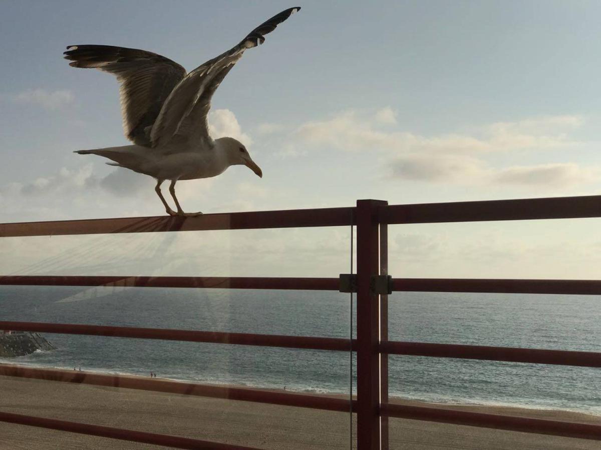 Dream Holiday -Beautiful Spot Nazaré Exterior foto